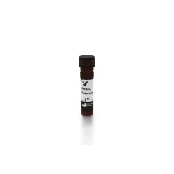 Vector Labs FL-1111-2 Phaseolus Vulgaris Leucoagglutinin (PHA-L), Fluorescein, 2 mg (1/EA)