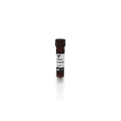 Vector Labs FL-1121-2 Phaseolus Vulgaris Erythroagglutinin (PHA-E), Fluorescein, 2 mg (1/EA)
