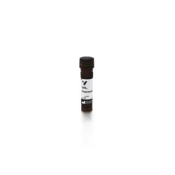 Vector Labs FL-1241-2 Galanthus Nivalis Lectin (GNL), Fluorescein, 2 mg (1/EA)