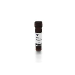 Vector Labs FL-1311-2 Maackia Amurensis Lectin I (MAL I), Fluorescein, 2 mg (1/EA)
