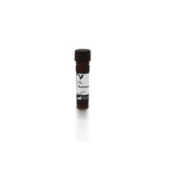 Vector Labs FL-1321-2 Lotus Tetragonolobus Lectin (LTL), Fluorescein, 2 mg (1/EA)