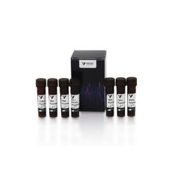 Vector Labs FLK-2100 Lectin Kit I, Fluorescein, 1 Kit (1/EA)