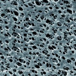 GVS Life Sciences 1213810 Hydrophilic Nylon Filter Membrane 5 µm, 13 mm (100/Pack)