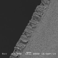 GVS Life Sciences 1212661 Hydrophilic PCTE Filter Membrane 10 µm, 47 mm (100/Pack)