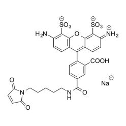 Vector Labs FP-1014-100 AZDye 488 Maleimide - 100 mg (1/EA)