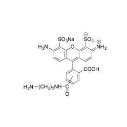 Vector Labs FP-1015-100 AZDye 488 Cadaverine - 100 mg (1/EA)
