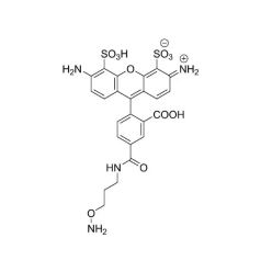 Vector Labs FP-1016-5 AZDye 488 Hydroxylamine - 5 mg (1/EA)