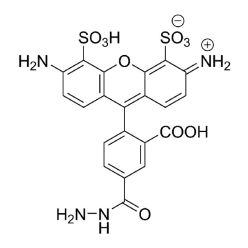 Vector Labs FP-1017-5 AZDye 488 Hydrazide - 5 mg (1/EA)
