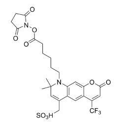 Vector Labs FP-1031-5 AZDye 430 NHS Ester - 5 mg (1/EA)