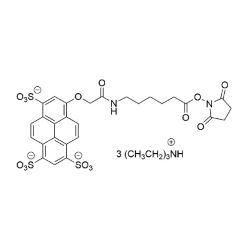 Vector Labs FP-1061-100 AZDye 405 NHS Ester - 100 mg (1/EA)