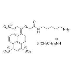 Vector Labs FP-1063-100 AZDye 405 Cadaverine - 100 mg (1/EA)