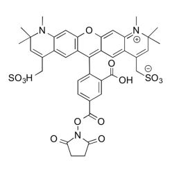 Vector Labs FP-1101-5 AZDye 594 NHS Ester - 5 mg (1/EA)