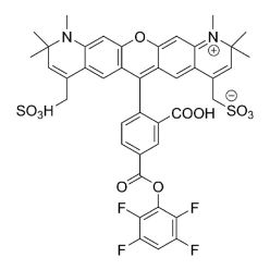 Vector Labs FP-1111-5 AZDye 594 TFP Ester - 5 mg (1/EA)