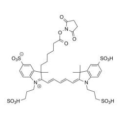 Vector Labs FP-1121-25 AZDye 647 NHS Ester - 25 mg (1/EA)