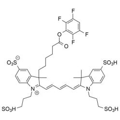 Vector Labs FP-1129-25 AZDye 647 TFP Ester - 25 mg (1/EA)