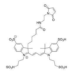Vector Labs FP-1168-5 AZDye 555 Maleimide - 5 mg (1/EA)