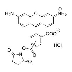 Vector Labs FP-1202-100 5-Carboxyrhodamine 110 NHS Ester - 100 mg (1/EA)