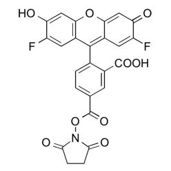 Vector Labs FP-1222-25 Difluorocarboxyfluorescein NHS Ester, 5-isomer - 25 mg (1/EA)
