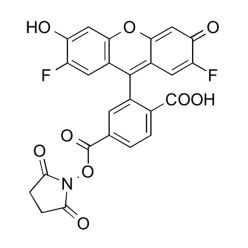 Vector Labs FP-1223-25 Difluorocarboxyfluorescein NHS Ester, 6-isomer - 25 mg (1/EA)
