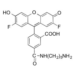 Vector Labs FP-1227-25 Difluorocarboxyfluorescein Cadaverine, 5-isomer - 25 mg (1/EA)