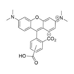Vector Labs FP-1251-100 5(6)-TAMRA  Acid - 100 mg (1/EA)