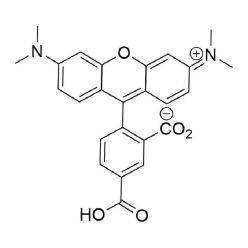 Vector Labs FP-1252-5G 5-TAMRA  Acid - 5 g (1/EA)