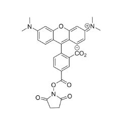 Vector Labs FP-1255-100 5-TAMRA NHS Ester - 100 mg (1/EA)