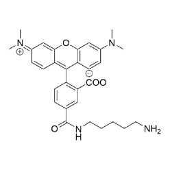 Vector Labs FP-1261-100 5-TAMRA Cadaverine - 100 mg (1/EA)