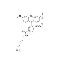 Vector Labs FP-1262-5 6-TAMRA Cadaverine - 5 mg (1/EA)