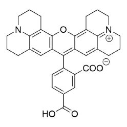 Vector Labs FP-1271-25 5-ROX (5-Carboxy-X-Rhodamine) - 25 mg (1/EA)