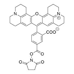 Vector Labs FP-1274-100 5-ROX NHS Ester - 100 mg (1/EA)