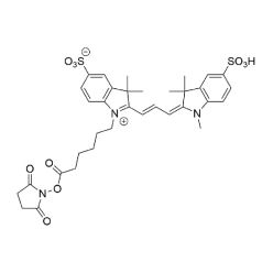 Vector Labs FP-1301-5 Cy3 NHS Ester - 5 mg (1/EA)