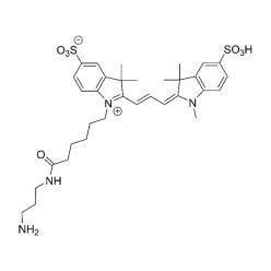 Vector Labs FP-1303-25 Cy3 Amine - 25 mg (1/EA)