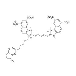Vector Labs FP-1341-25 Cy5.5 NHS Ester - 25 mg (1/EA)
