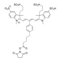 Vector Labs FP-1501-100 IR 650 NHS ester - 100 mg (1/EA)