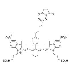 Vector Labs FP-1556-100 Cy7 NHS Ester - 100 mg (1/EA)
