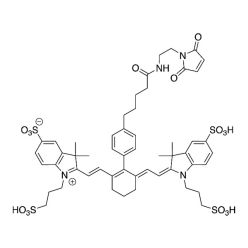 Vector Labs FP-1557-100 IR 750 Maleimide - 100 mg (1/EA)