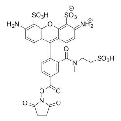Vector Labs FP-1601-100 MB 488 NHS ester - 100 mg (1/EA)
