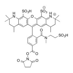Vector Labs FP-1631-5 MB 543 NHS ester - 5 mg (1/EA)