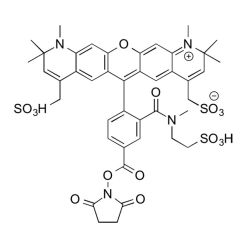 Vector Labs FP-1646-5 MB 594 NHS Ester - 5 mg (1/EA)