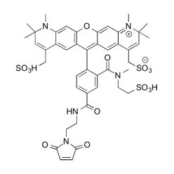 Vector Labs FP-1648-5 MB 594 Maleimide - 5 mg (1/EA)