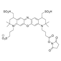 Vector Labs FP-1661-1 MB 660R NHS Ester - 1 mg (1/EA)