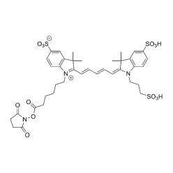 Vector Labs FP-1675-100 Sulfo-Cy5 NHS ester - 100 mg (1/EA)