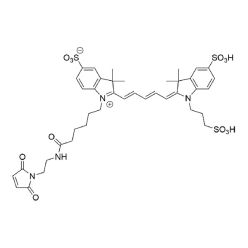 Vector Labs FP-1676-5 Sulfo Cy5 Maleimide - 5 mg (1/EA)