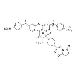 Vector Labs FP-1706-25 SY-9 NHS ester - 25 mg (1/EA)