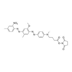Vector Labs FP-1731-5 UBQ-1 NHS Ester - 5 mg (1/EA)