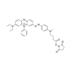 Vector Labs FP-1751-5 UBQ-3 NHS Ester - 5 mg (1/EA)