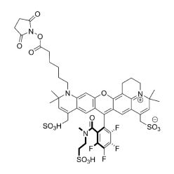 Vector Labs FP-1771-5 MB 633 NHS Ester - 5 mg (1/EA)