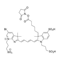 Vector Labs FP-1791-5 AZDye 680 NHS Ester - 5 mg (1/EA)