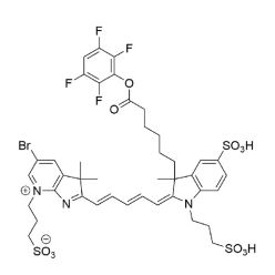 Vector Labs FP-1792-5 AZDye 680 TFP Ester - 5 mg (1/EA)